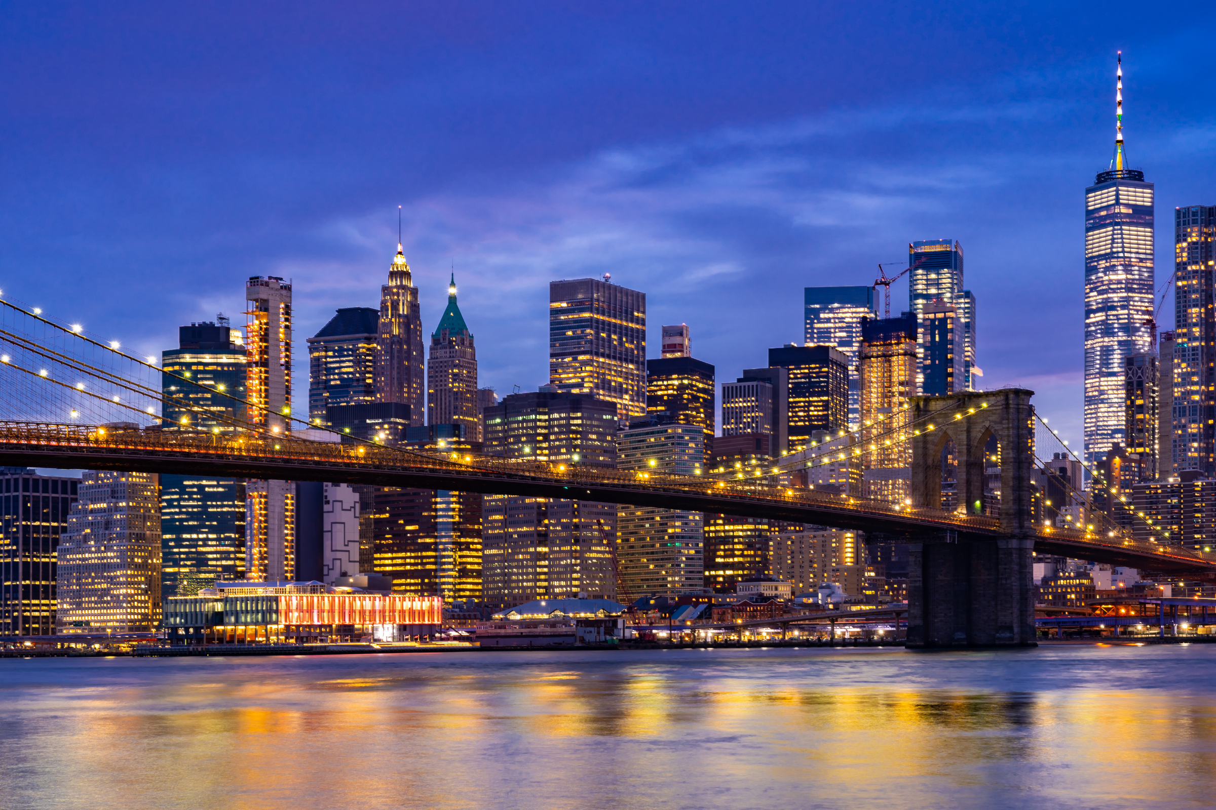 purchase, new york (4).webp
